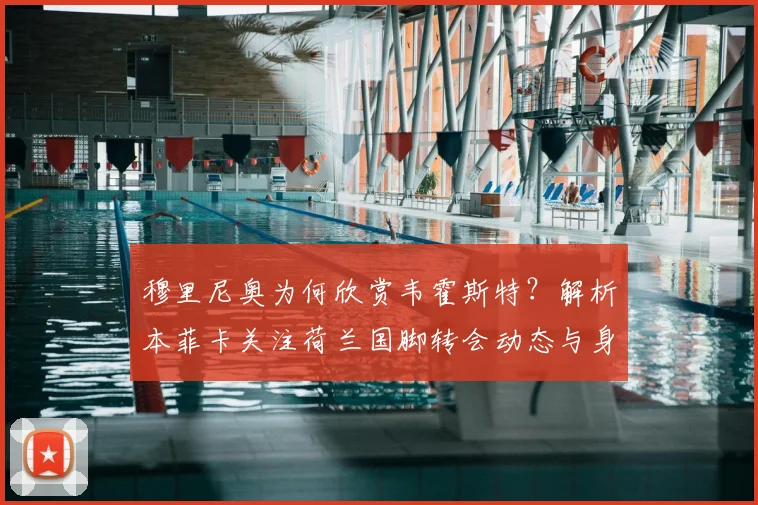穆里尼奥为何欣赏韦霍斯特？解析本菲卡关注荷兰国脚转会动态与身价